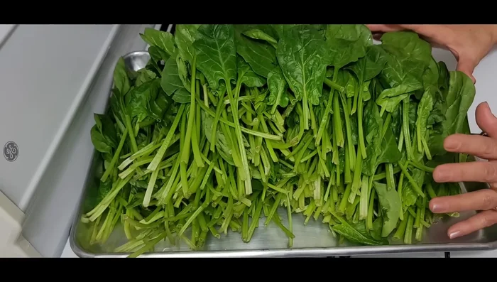 Wash the spinach thoroughly three times until the water runs clear. Set aside to drain for about half an hour.