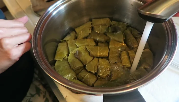 Fill the pot with water, about an inch below the top of the dolma. Place a heavy object (like a rock) on top of the dolma to keep them submerged.