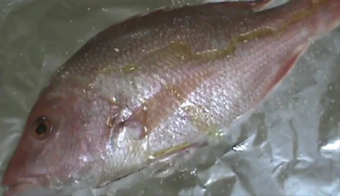 Preheat oven to 375°F (190°C). Season the whole red snapper with salt and oil. Bake for 25 minutes.