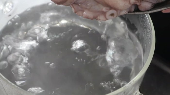 Boil the octopus for about 14 minutes. Then, remove it and let it rest on a strainer until it cools down.