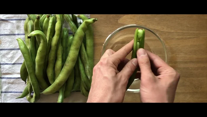 Open the broad bean pods and remove the beans. Larger pods yield larger, sweeter beans.