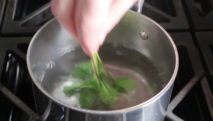 Blanch mint leaves in simmering water, then quickly shock them in cold water. Squeeze out excess water and mash into a paste in a mortar and pestle with salt.