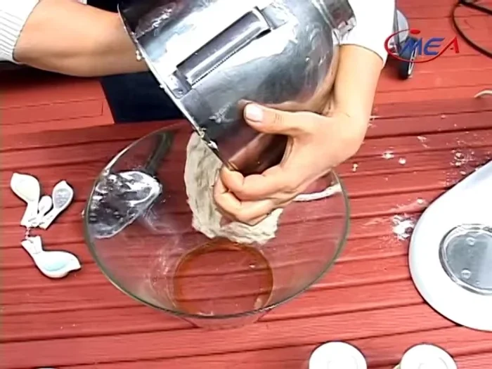 Place the dough in an oiled bowl, cover with saran wrap and a kitchen towel, and let it rise for about 1-1.5 hours, or until doubled in size.