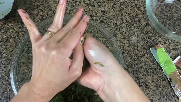 Prepare the filling: Squeeze excess liquid from frozen spinach (or blanch fresh spinach). Chop tomatoes and onions finely.