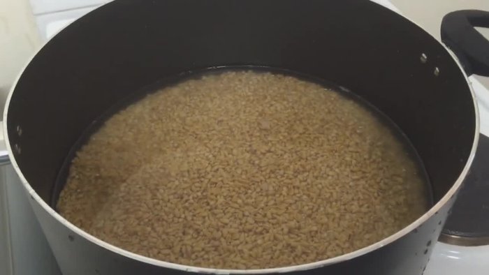 Wash the wheat thoroughly several times.