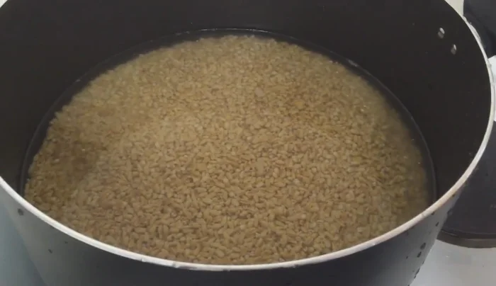 Cook the chickpeas on the stove with high heat and enough water to cover them.