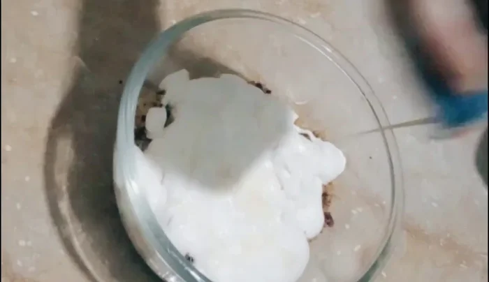 Add cream, condensed milk, and a layer of sheet cheese to the mixture.