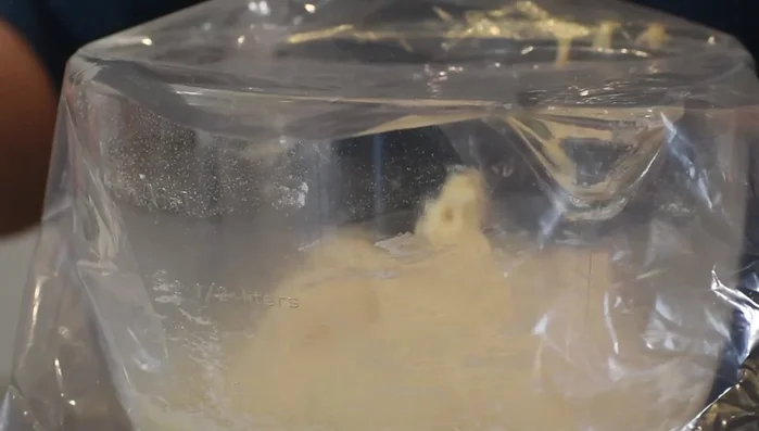 Cover the dough and let it rise in a warm place for at least one hour.