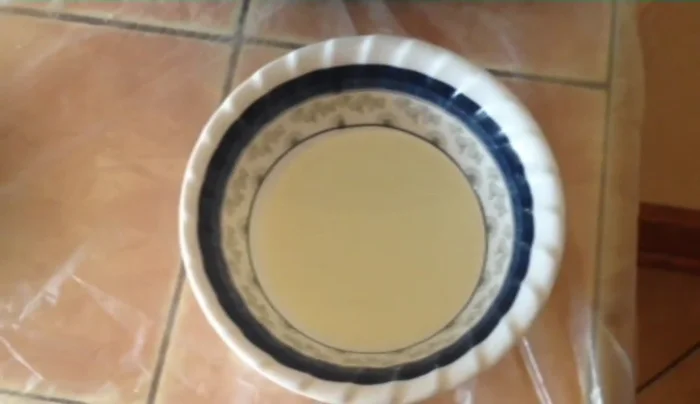 Lightly oil a small bowl. Take small pieces of dough, coat them in the oiled bowl, and flatten them. Repeat until all dough is used.