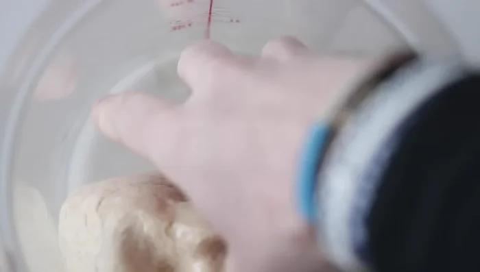 First rise: Form the dough into a ball, place it in a greased container, cover, and let rise in a warm place (e.g., oven with light on) for 90 minutes, or until doubled in size. (225.18)
