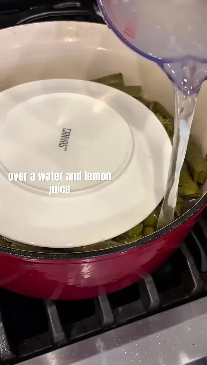 Pour a mixture of water and lemon juice over the grape leaves, reaching the same level as the plate. Add more garlic.